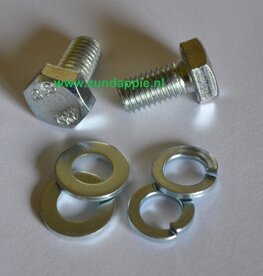 Bouten set voor montage voet stepjes M10 x 20 galv