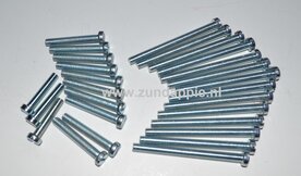 Motorblok boutenset K80/KS80. 27 delig 314-317.24