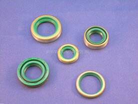 Keerring set 4/5 Versnelling