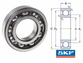 6003 lager skf