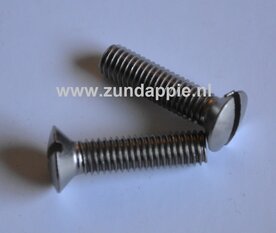 Lenskop schroef M5 x 20 RVS (set 2 stuks) Din 964 A2 M 5 x 20