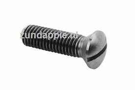 Bolverzonken schroef M5 x 20mm met zaaggleuf set 2 stuks